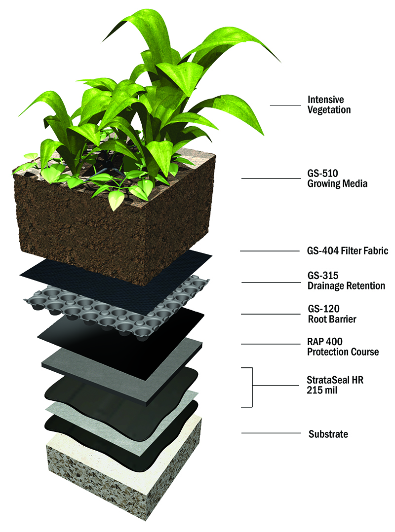 strataseal-hr-intensive-green-roof-assembly strataseal-hr-intensive-green-roof-assembly