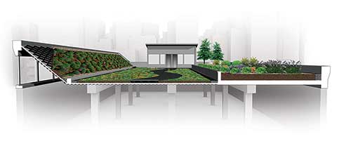 cetco-green-roof