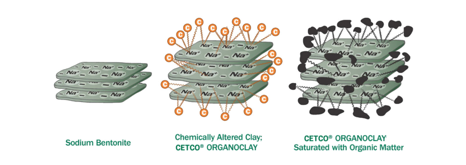 organoclay-saturated-organic-matter-diagram-cetco organoclay-saturated-organic-matter-diagram-cetco