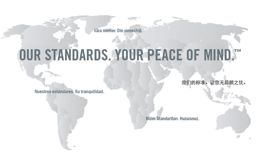 Our Standards Globe Our Standards Globe