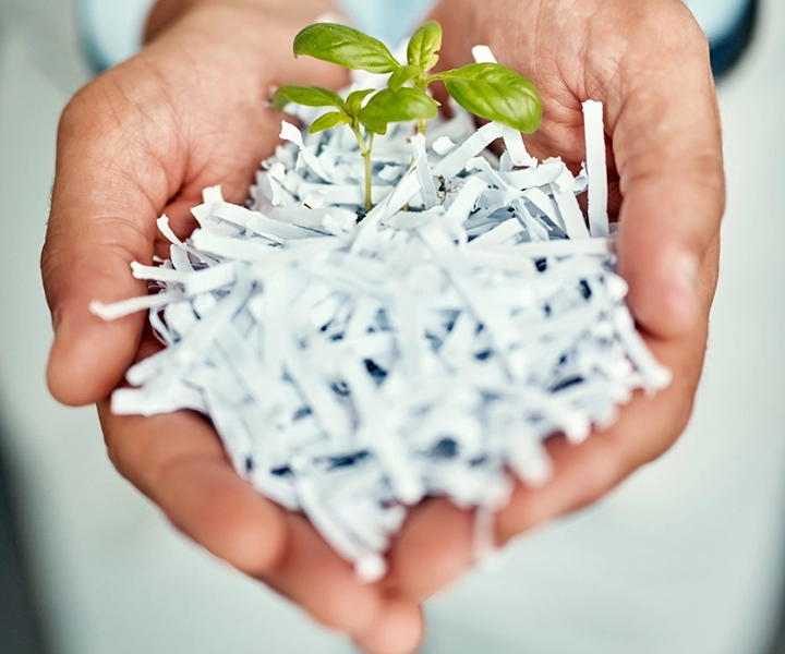 Hands holding shredded paper with a plant growing from it.