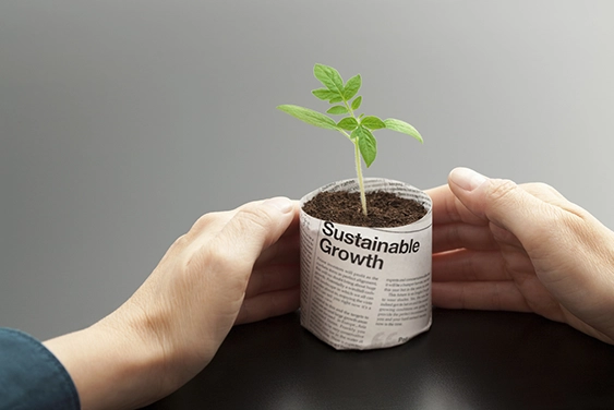 Hands showing a plant growing in a pot made of paper.